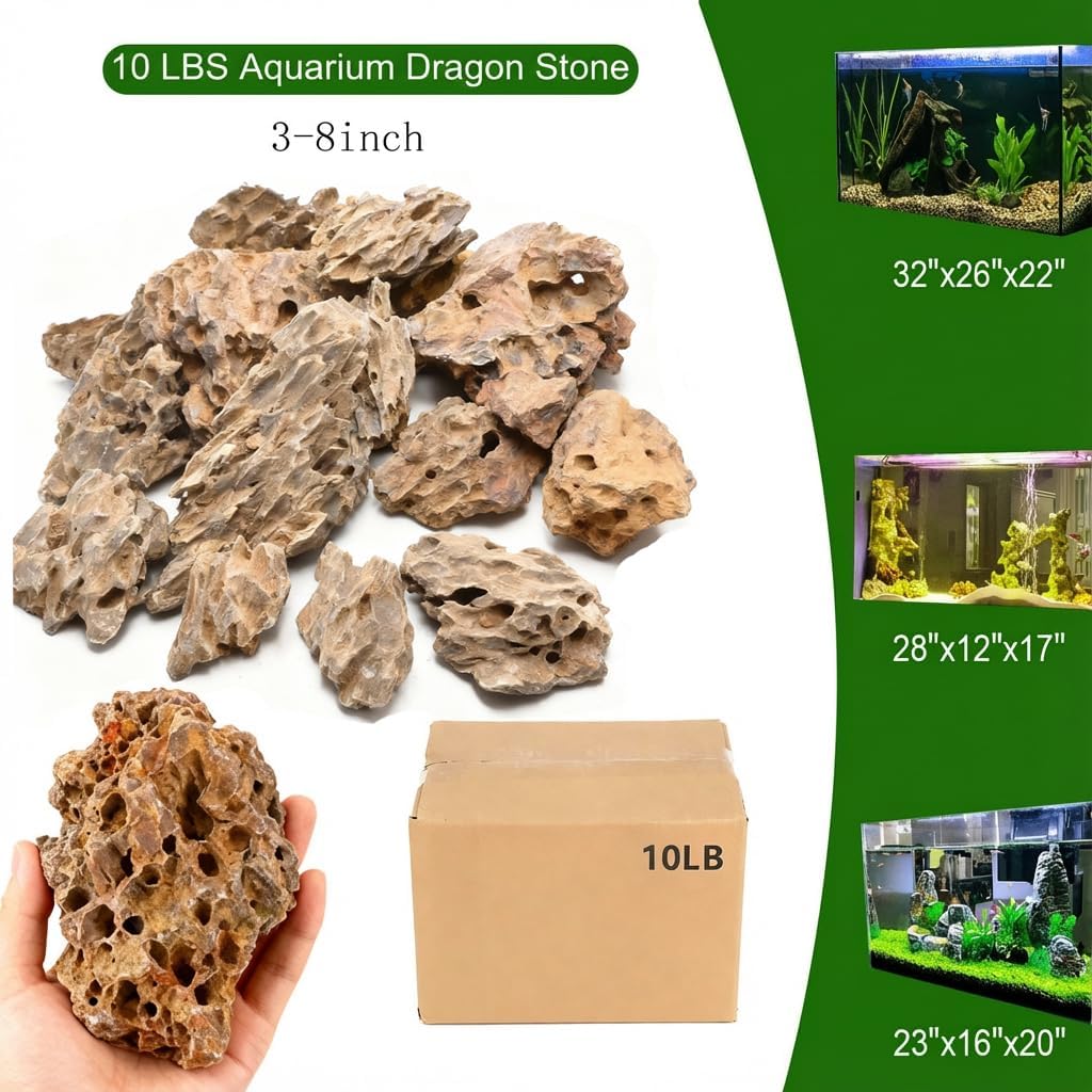 Aquarium Rocks Dragon Stone Natural Hardscape Stone for DIY Aquariums, Fish Tanks, Bonsai, Terrariums, Paludarium Amphibian Enclosures (10Lb (3-8 inch), Dragon Stone)