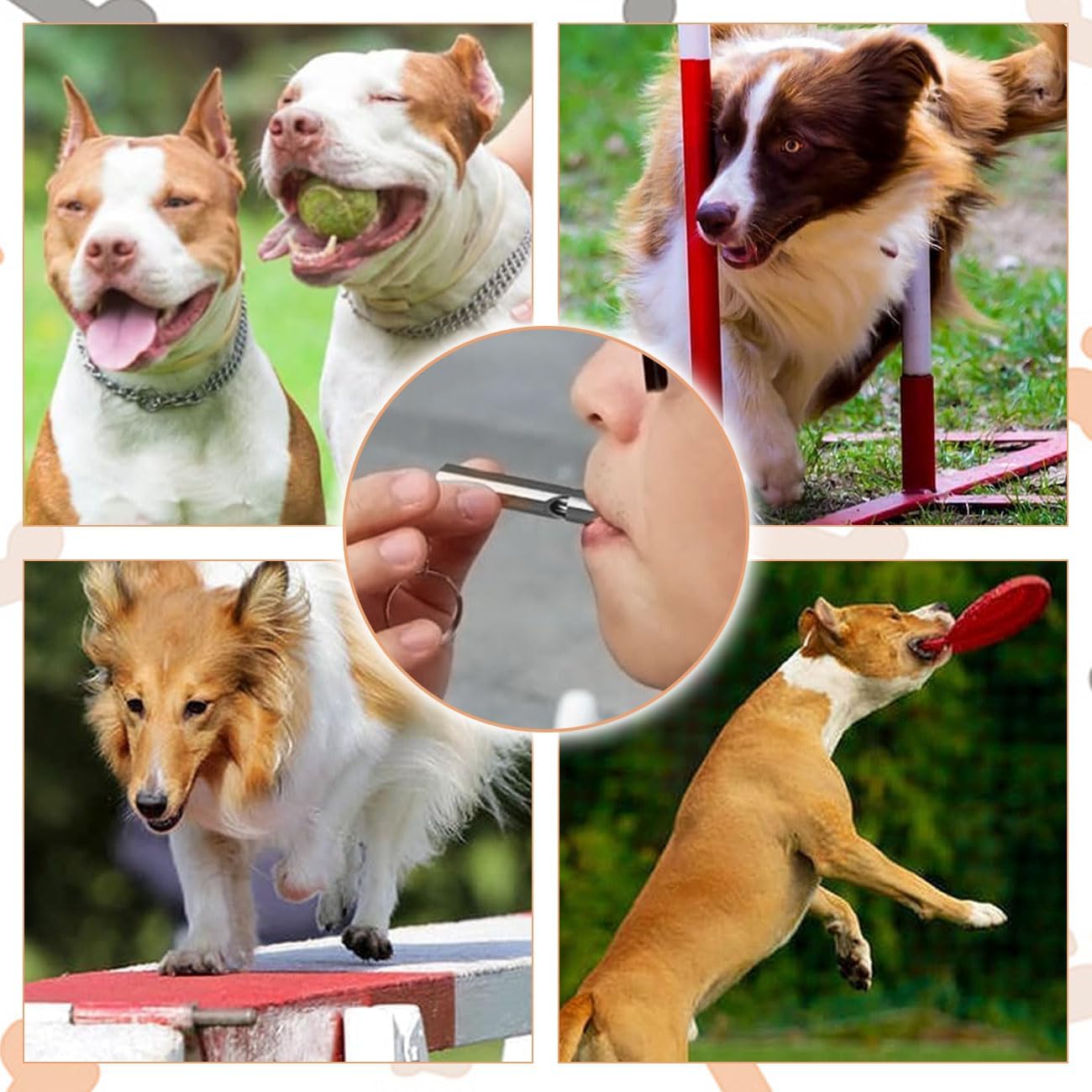 2 Pack Dog Whistle Dog Training Whistle Dog... 16 2 Pack Dog Whistle Dog Training Whistle Dog...