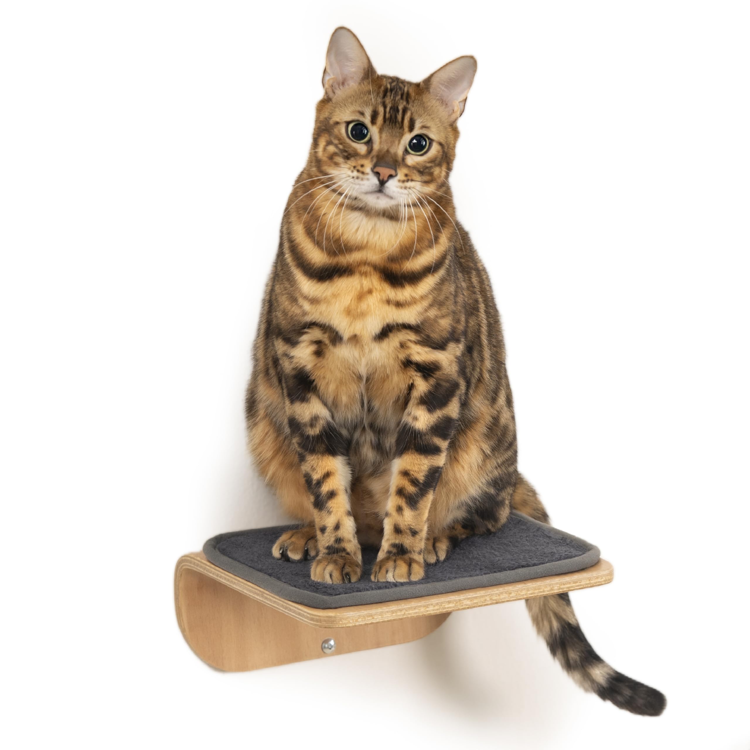 Wall Mounted Cat Furniture Cenadinz 5-Pieces Wall Mounted Cat