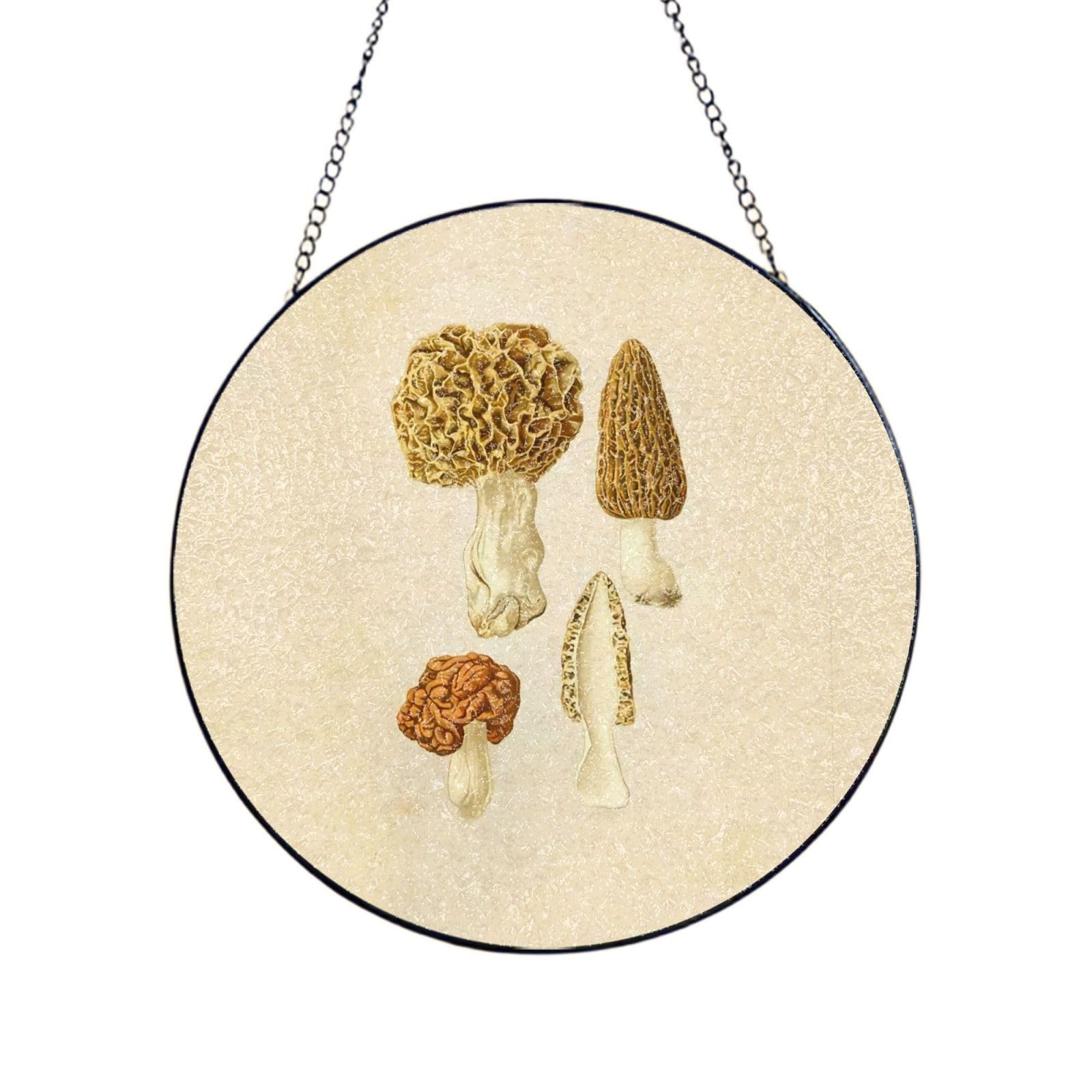 Phayah Vintage Mushrooms Drawings Print Glass Window Hanging Sun Catchers Suncatcher Decor For Birthday For Home Garden Porch 6in（15cm）