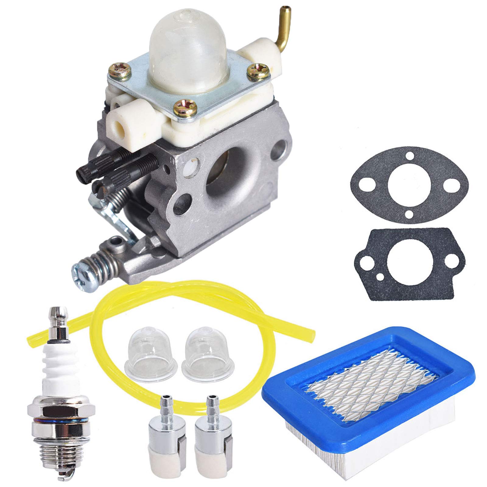 Amazon.com: Autoparts A021000890 Carburetor Maintence Kit