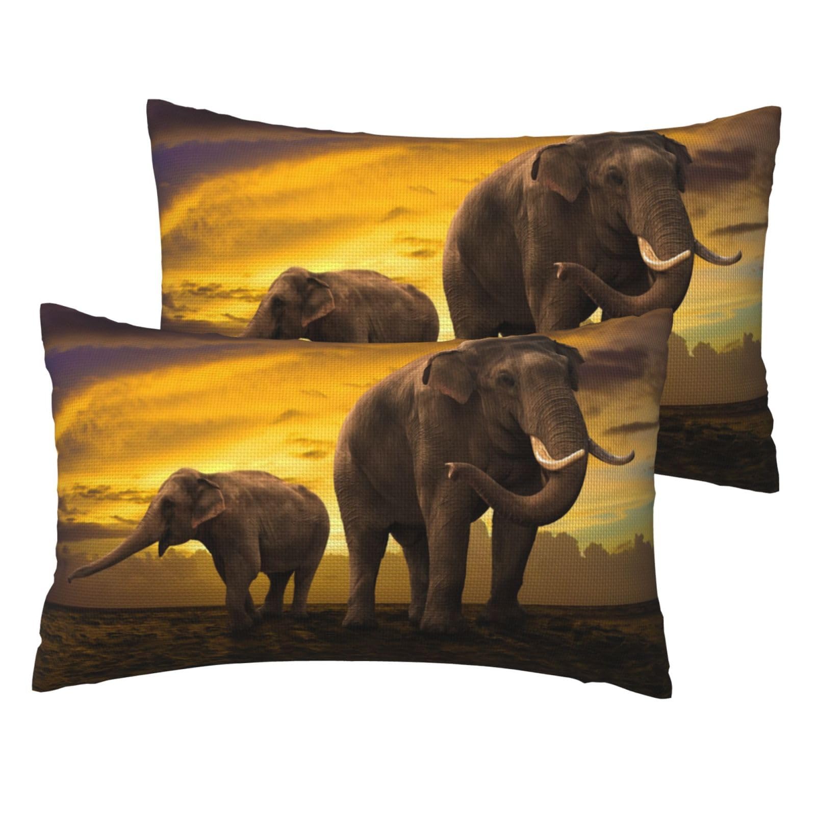 Housses de coussin motif éléphant lin pour un salon exotique