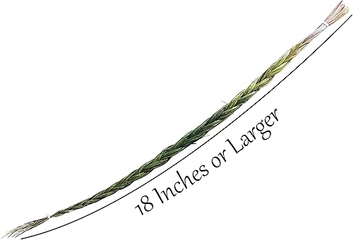Miniatura 8 de Alternative Imagination Trenza de incienso Sweetgrass, extra grande (24 pulgadas +)