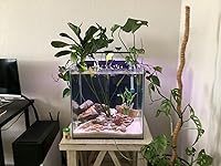 Review Image by Thiahdy Thiahdy