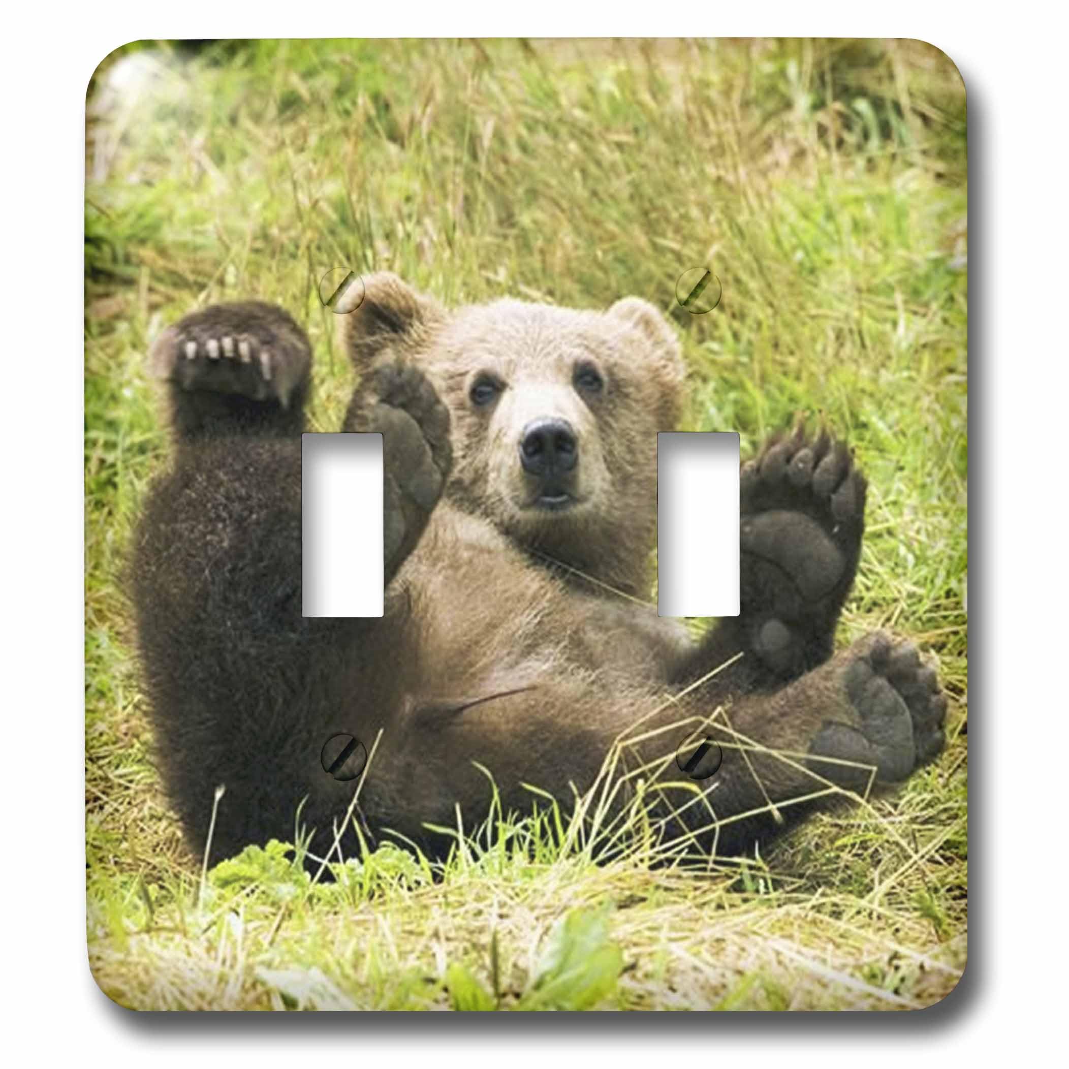Interrupteur à baïonnette solide motif Baby Grizzly Bear 3dRose LSP_43744_2