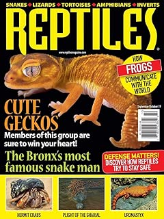 Reptiles - coolthings.us