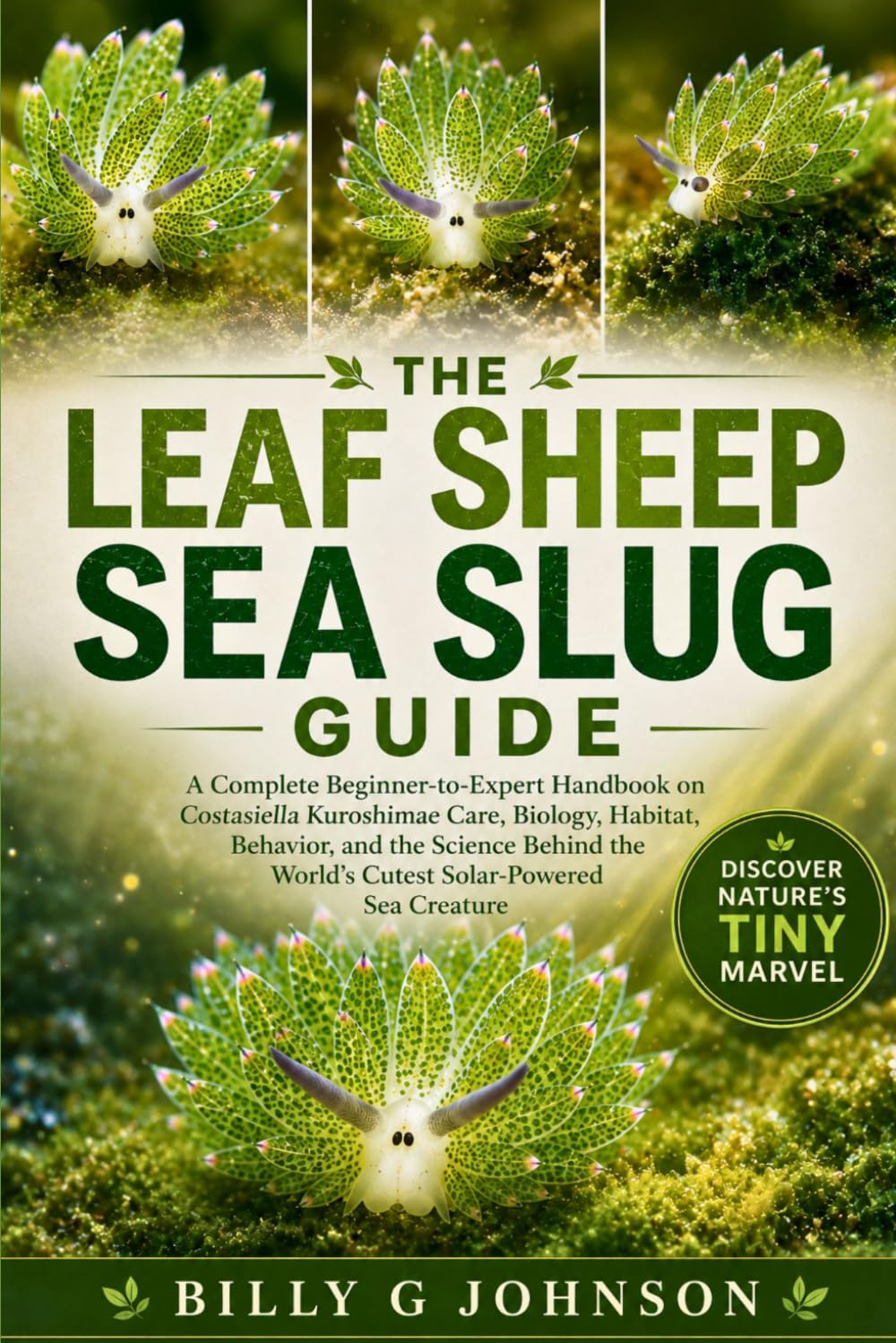 The Leaf Sheep Sea Slug Guide: A Complete Beginner-to-Expert Handbook on Costasiella Kuroshimae Care, Biology, Habitat, Behavior, and the Science Behind the World’s Cutest Solar-Powered Sea Creature