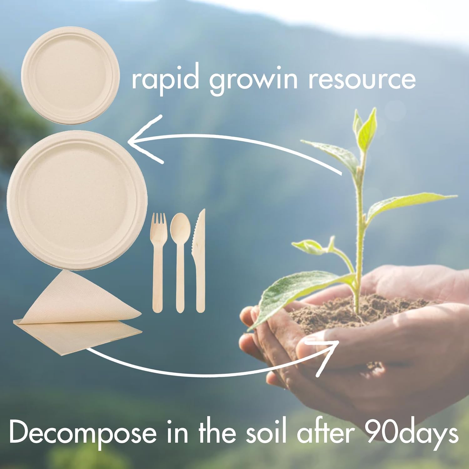 AevumPure 240Pcs Compostable Bamboo Paper Plates Set,Disposable Eco Friendly Utensils,40Sets Dinnerware Kit(10&7in Biodegradable Plates,Wooden Forks,Spoons,Knives,Thicked Napkins) For Birthday/Party