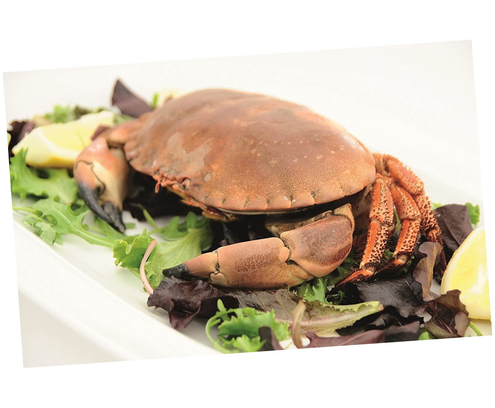 Juego de Herramientas para Mariscos 12 Piezas de Acero Inoxidable | 6 Abridores de Langostas y 6 Tenedores, Diseño Ergonómico, Resistente de Aleación de Zinc para Casa