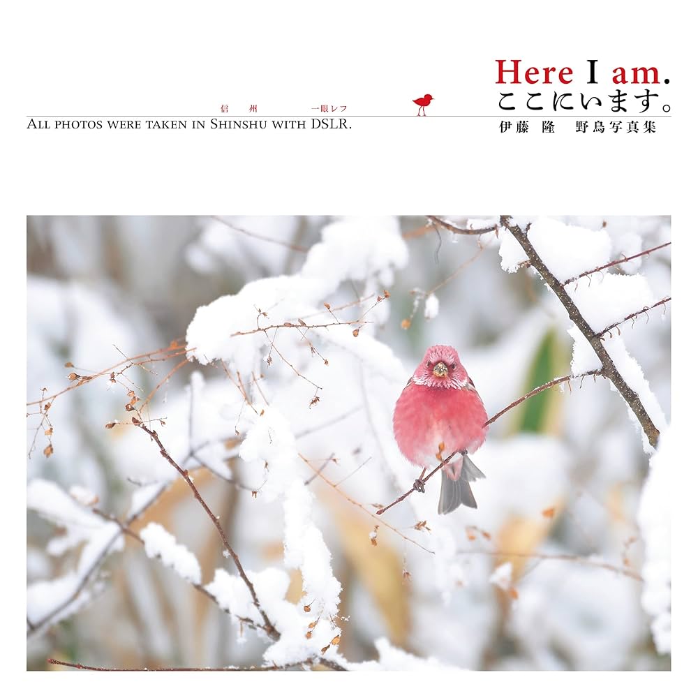 日本の鳥　写真集 Here I am. ここにいます。伊藤隆 野鳥写真集 | 伊藤 隆, 伊藤