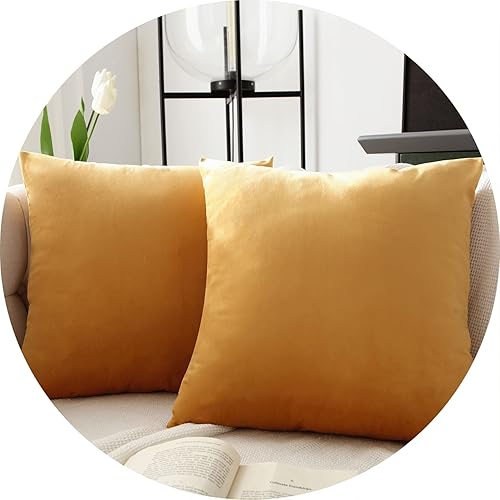 Juego de 2 fundas de almohada decorativas de terciopelo para sala de estar, sofá, dormitorio, fundas de almohada decorativas, 18 x 18 pulgadas,