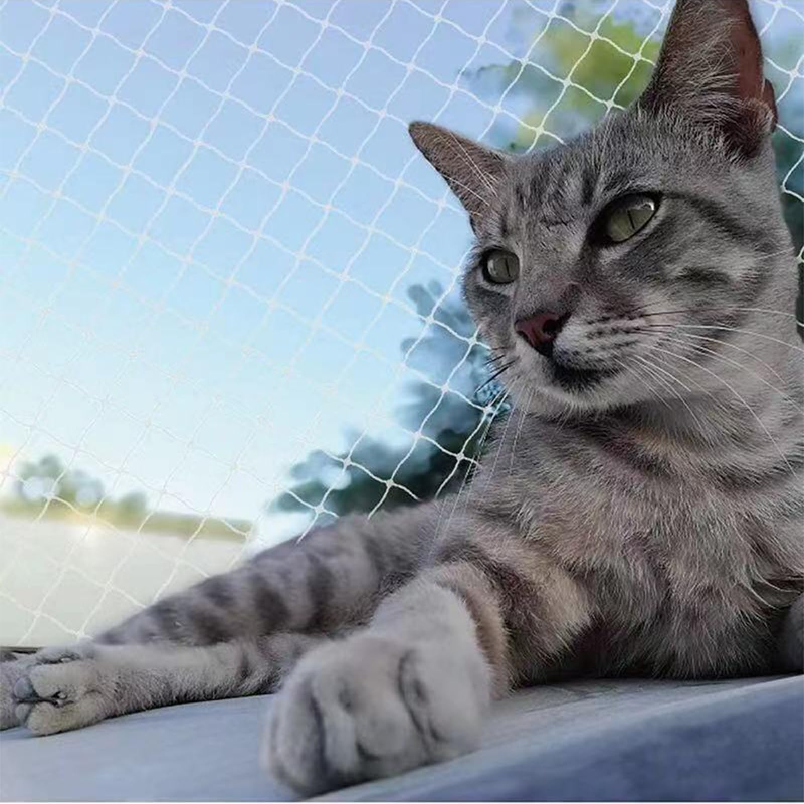 Rete Gatti, 4x3m Rete per Balcone Esterno, Rete Anti piccioni, con Rete Rinforzata - Installazione Senza Foratura, Resistente a Strappi/Morsi/Raggi UV - per Balconi Esterni, Scale, Finestre (6 x 3 m)