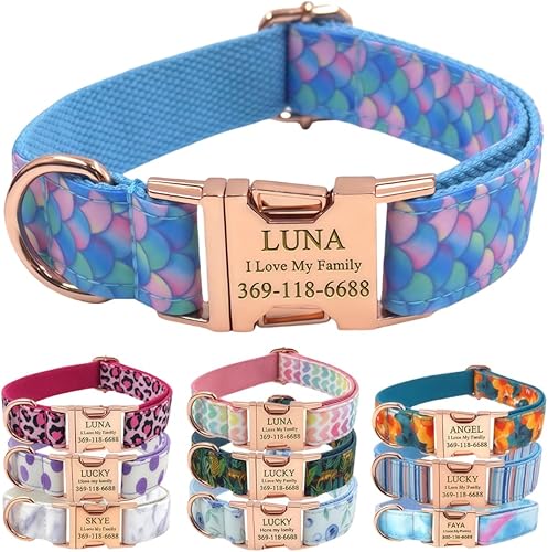 PETDURO Collar de perro personalizado con nombre y teléfono grabado en hebilla de metal  Personalizado para perros medianos y grandes  Impresiones
