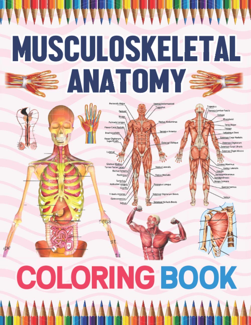 Musculoskeletal Anatomy Coloring Book: Muscular & Skeletal System Coloring Book for Kids. Musculoskeletal Anatomy Coloring Pages for Kids. Human Body ... Anatomy Student's Self-Test Coloring Book