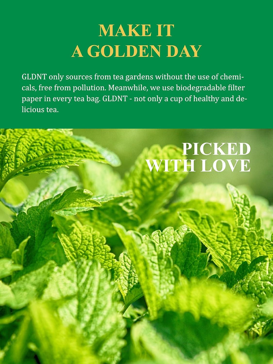 GLDNT Organic Lemon Balm Tea Bags, Natural Lemon Balm Herbal Tea, Lemony & Citrusy Flavor, Caffeine Free, 100 Count