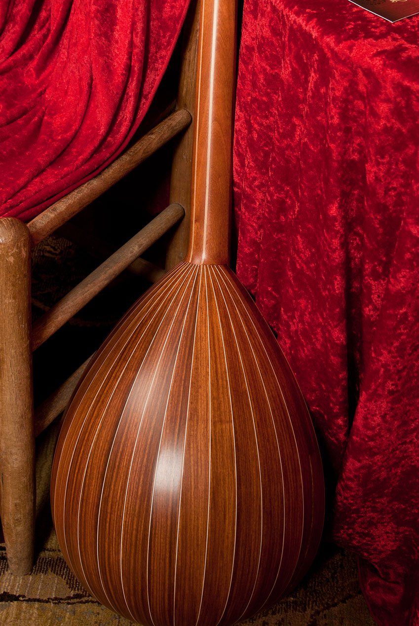 Roosebeck Bouzouki w/Deluxe Gig Bag - Image 3