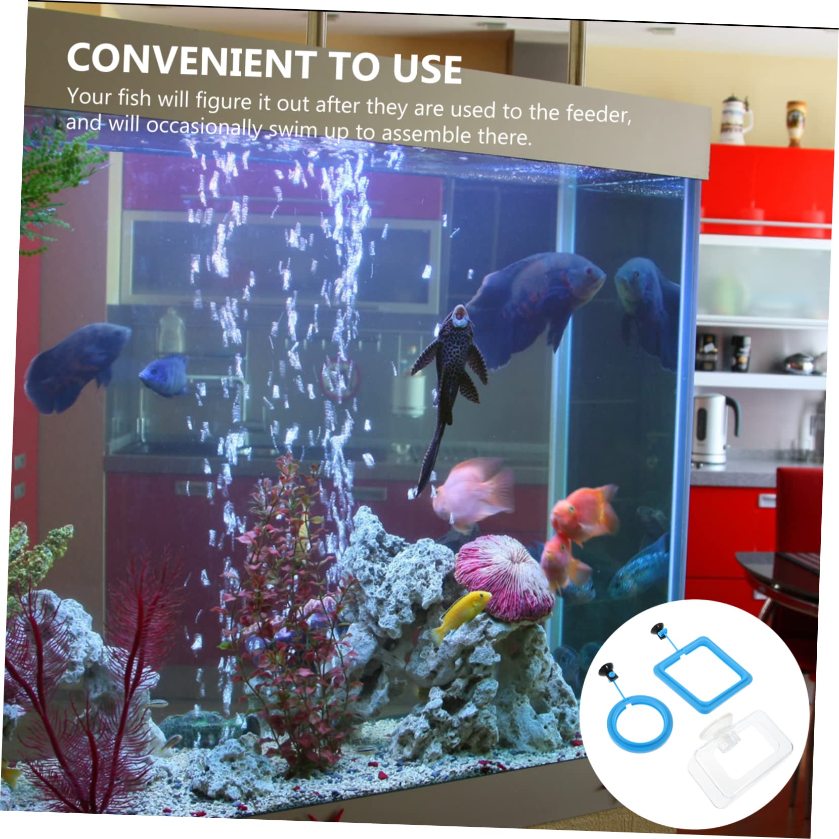 Mipcase 15stücke Futterring Für Aquarien Teiliges Mit Saugnapf Für Tropische Fische Garnelen Leicht Zu Reinigen Futterabfälle Für Süß Salzwasser Geeignet