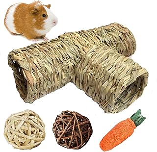 guinea pig ball amazon