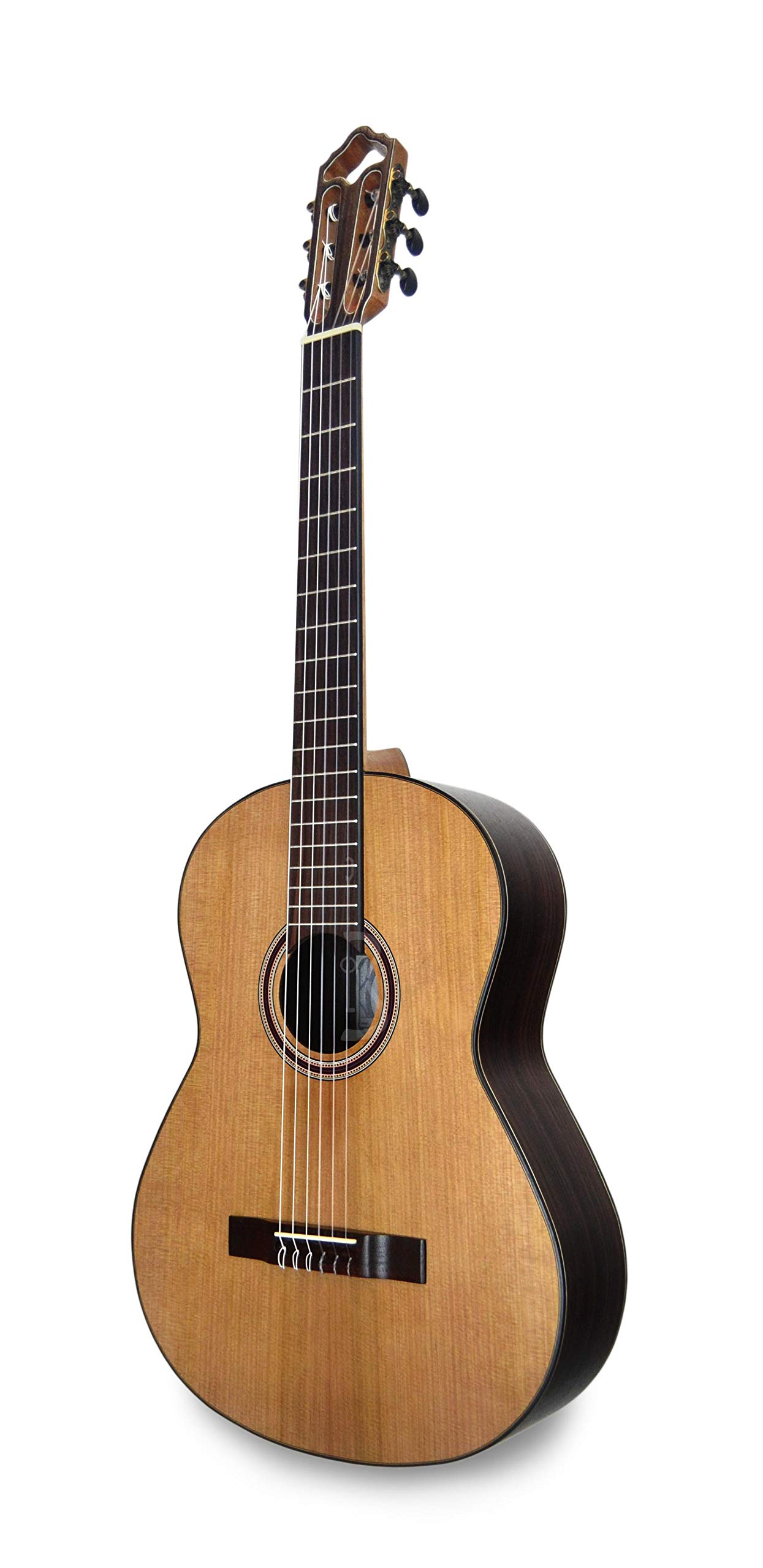 APC Instruments 9C - Instrumento de cuerdas