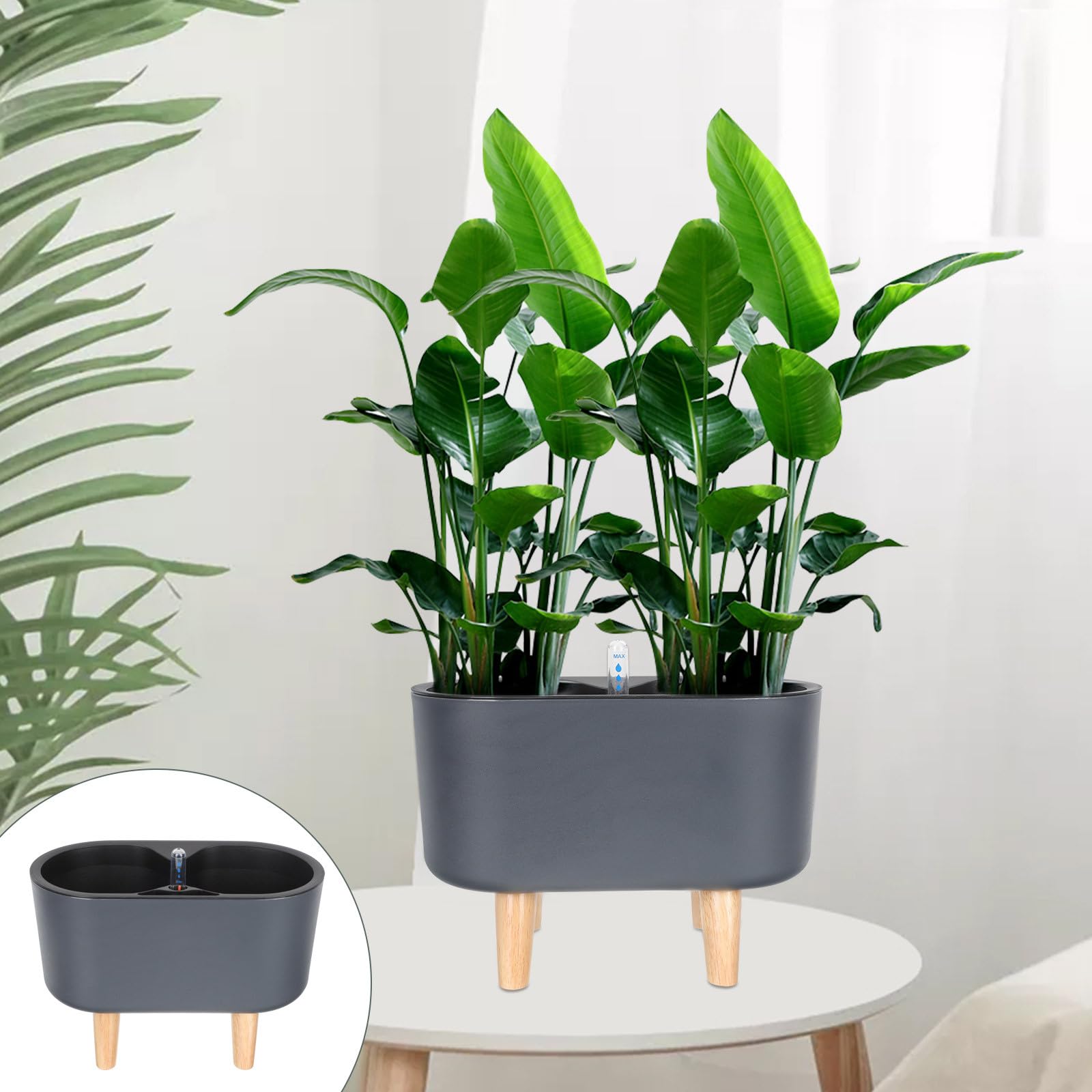 GLEAVI Jardinière à Arrosage Automatique Noir en Plastique Léger Système Auto-Irrigation pour Scindapsus Aureus et Plantes de Jardin Extérieur