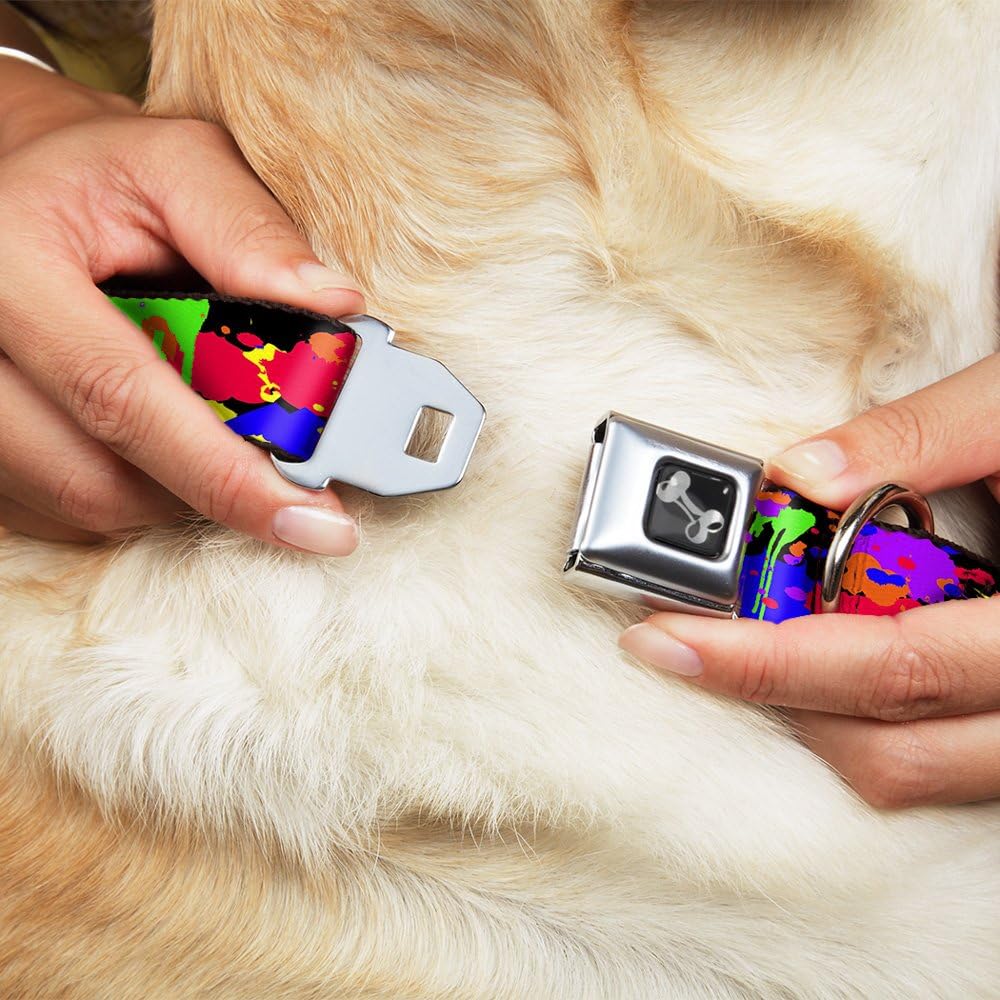 Buckle-Down Seatbelt Buckle Dog Collar - BD Paint Splatter Black/Neon - 1" Wide - Fits 9-15" Neck - Small