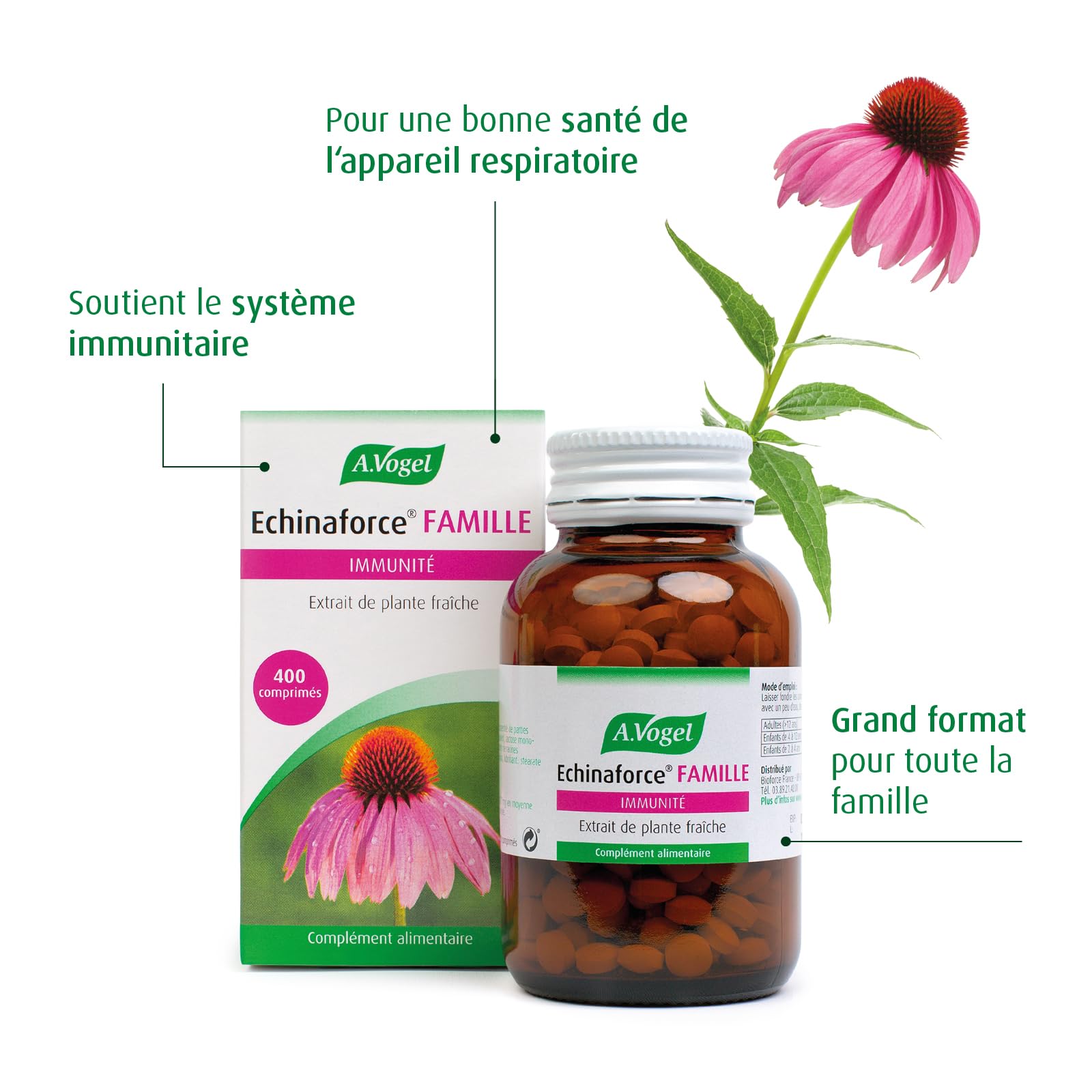 A.VOGEL - Echinaforce famille – Complément alimentaire – Améliore la résistance
