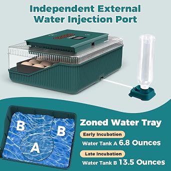 25 Eggs Incubator, Incubators for Hatching Eggs, with Automatic Egg Turning and Humidity Control, Egg Candler, Auto Water Replenishment, for Hatching Quail, Chicken, Duck, Goose Eggs (Dark Green)