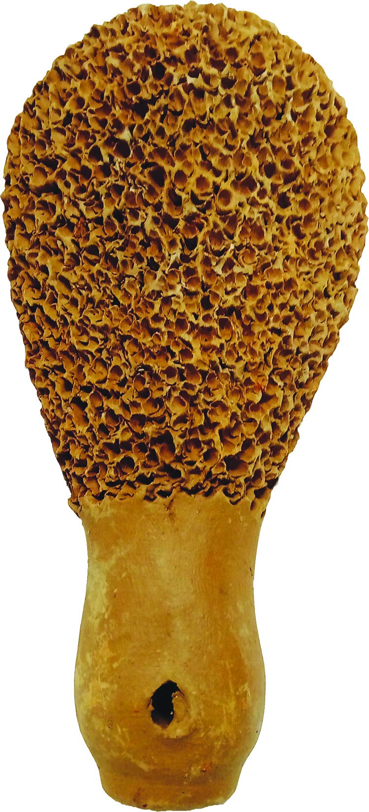 MAS Kreations Pumice Stone (Earthen Type 2, Set of 2) from KUMHAAR