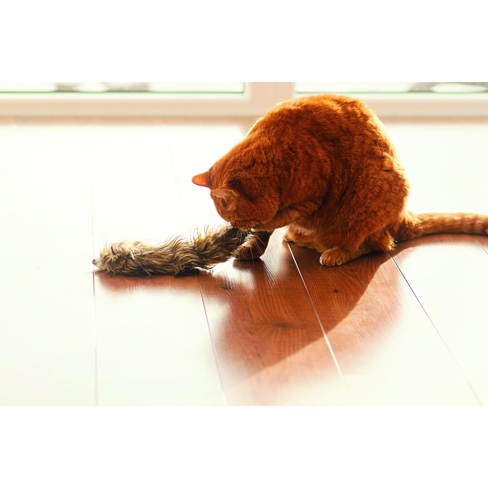 Aumüller Katzenspielzeug Frettchen Figo, 3er Set - Gefüllt mit Baldrian, Katzenminze und Silver Vine - der ultimative Spielspaß für Katzen
