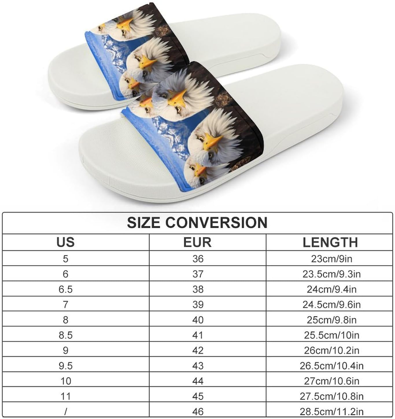 Bald Eagles Snow Mountain Women's House Sandals Non Slide Bathroom Beach Slippers for Men