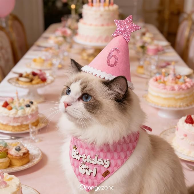 Conjunto de Disfraz y Decoración de Cumpleaños para Perro Rosa miniatura 2