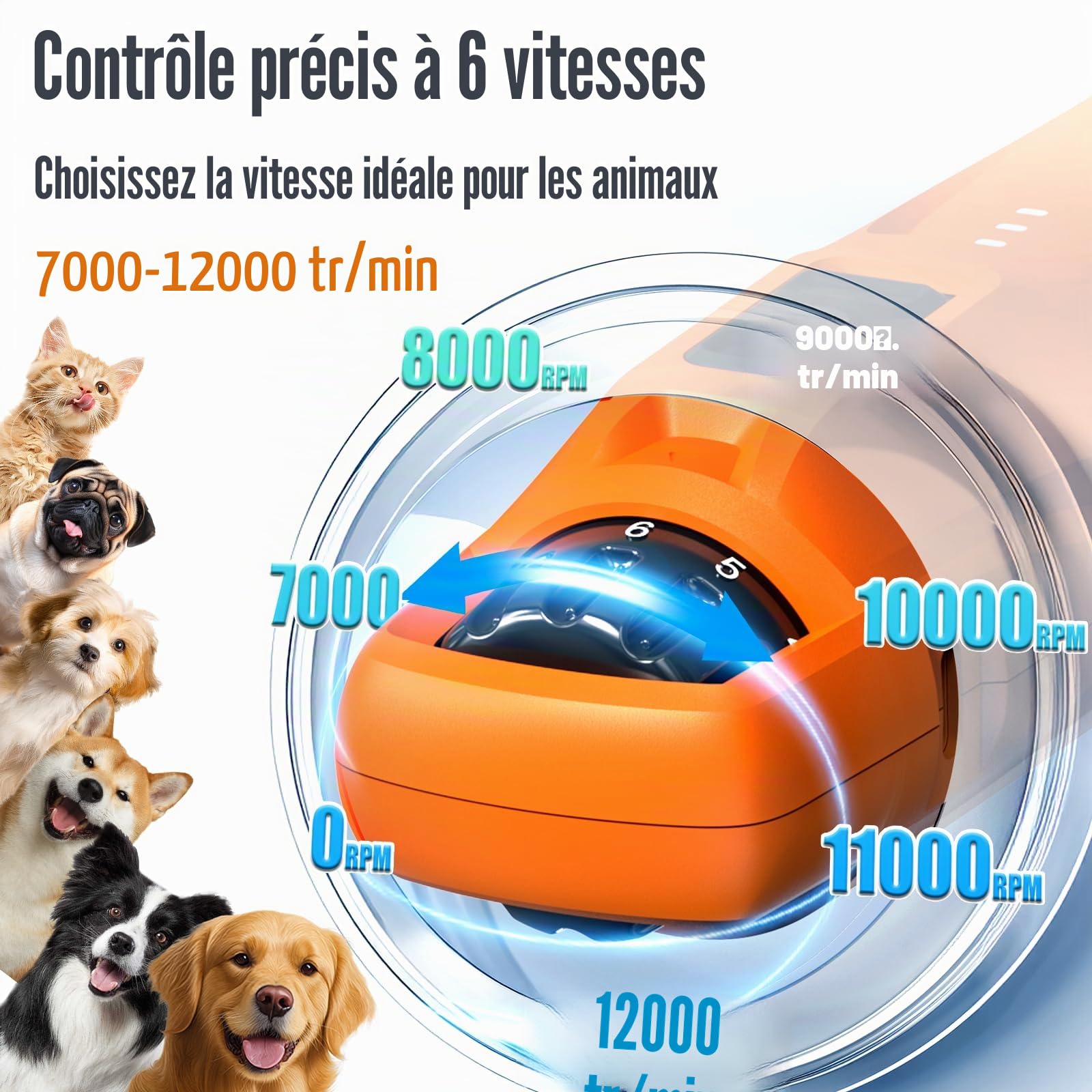 Casfuy Broyeur à Ongles pour Chien à 6 Vitesses amélioré - 50% de Puissance en Plus - pour Chiens et Chats de Petite, Moyenne et Grande Taille (Orange)