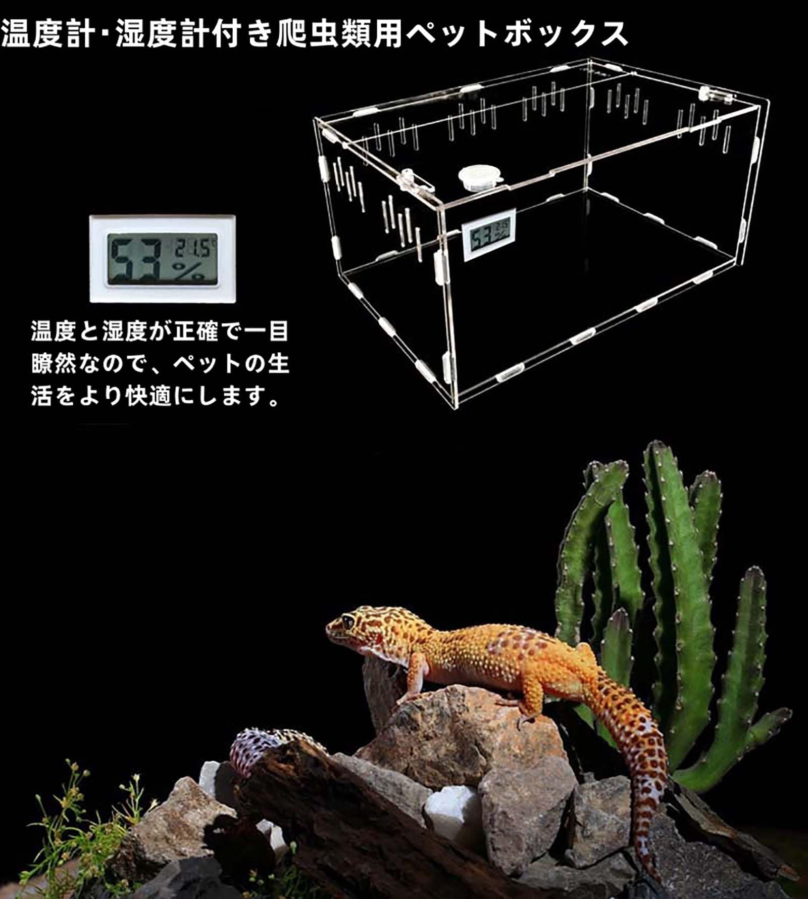 Amazon | トカゲ ケージ 爬虫類 ケージ 爬虫類 爬虫類飼育箱