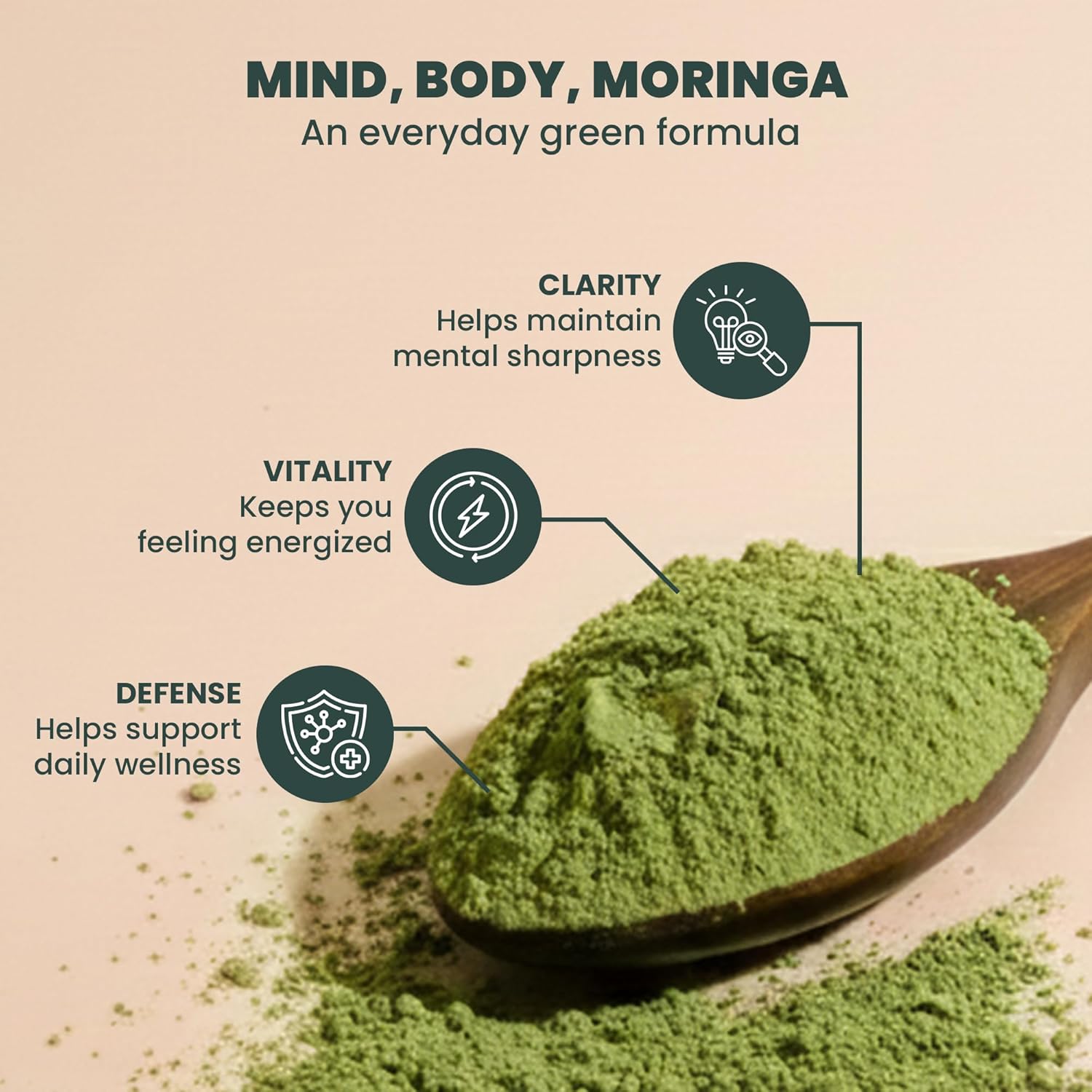 EVARA Moringa Powder Organic (12oz/ 340g) | 100% Pure & Organic Moringa Leaf Powder with Vital Nutrients | For Strong Immunity, Natural Energy & Skin Health | Vegan, Gluten Free | GMP & USDA Certified