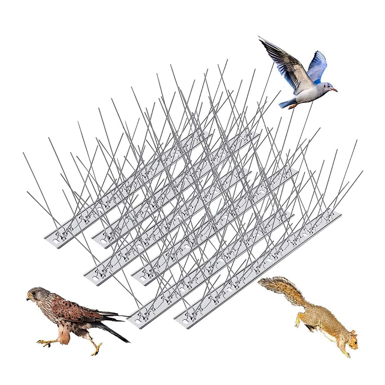 Buy JMYUAE Stainless Steel Bird Spikes for Pigeons, Bird Deterrent
