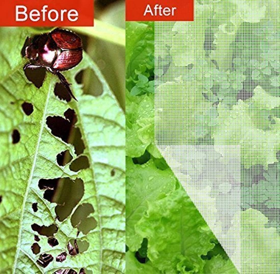 Agfabric Standard Insect Screen & Garden Netting Against Bugs, Birds & Squirrels - Mesh Netting, White (10'x10') : Patio, Lawn & Garden