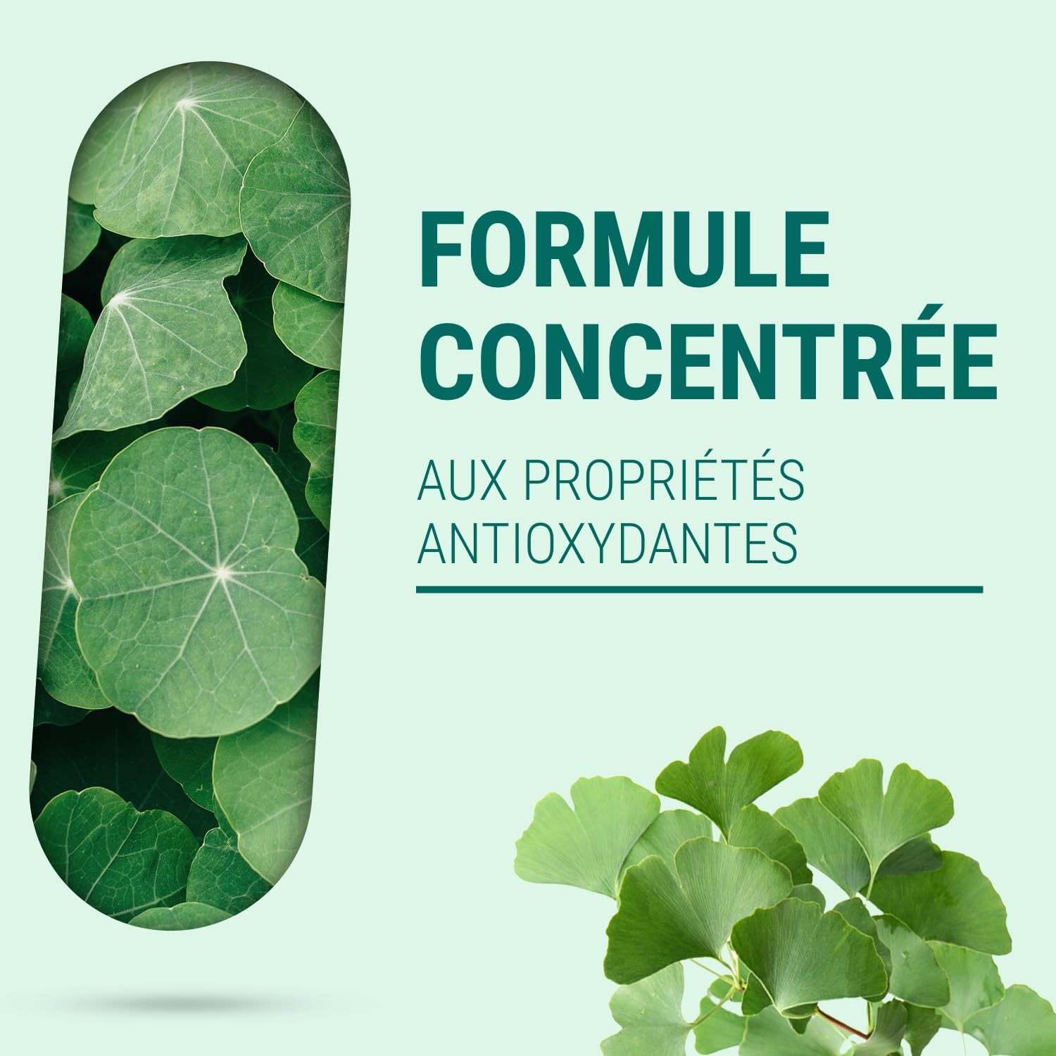 CO-ENZYME Q10 - Ubiquinone Concentrée - Complément Alimentaire Stress Oxydatif Fatigue Profonde, Beauté de la Peau - 150 Gélules - Fabriqué en France - Vegan - Sans Additifs Allergènes OGM