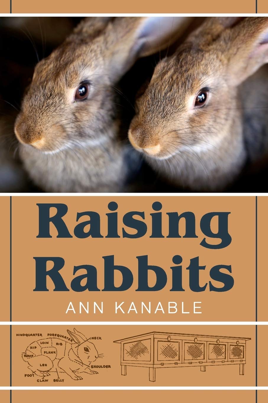 Raising Rabbits: Kanable, Ann: 9781626548732: Amazon.com: Books