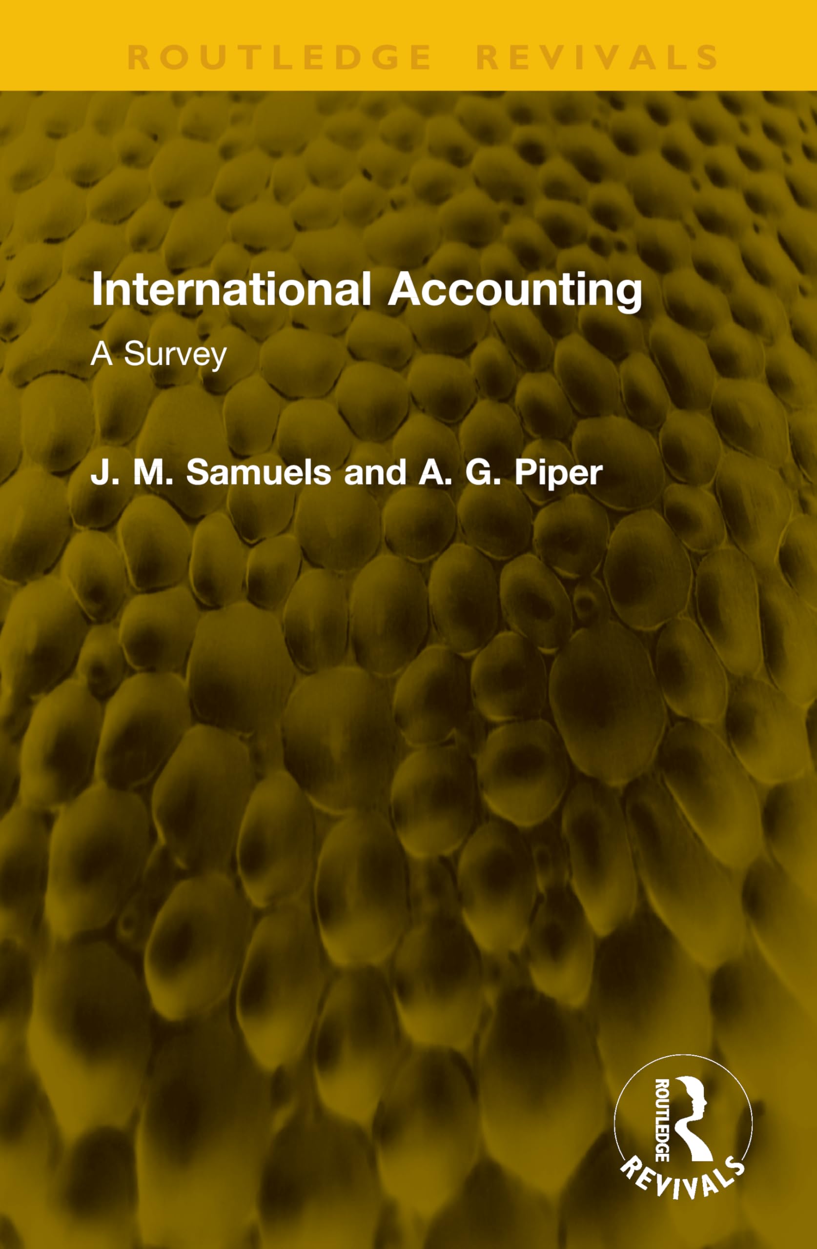 International Accounting: A Survey (Routledge Revivals)