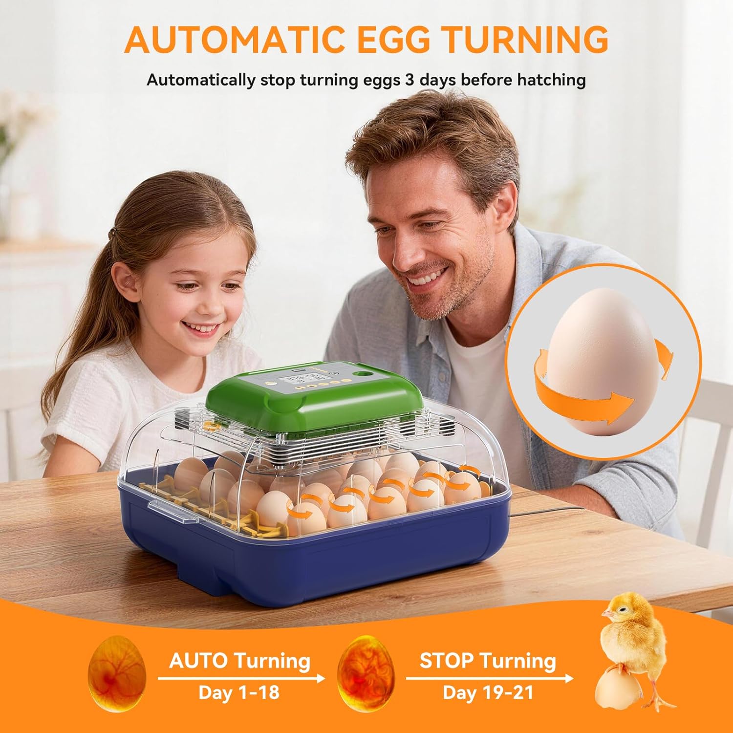 25 Egg Incubator with Automatic Turner, Digital Temperature & Humidity Control, Built-in Egg Candler, External Water Refill, for Hatching Chicken, Duck,Goose, Home, School Use