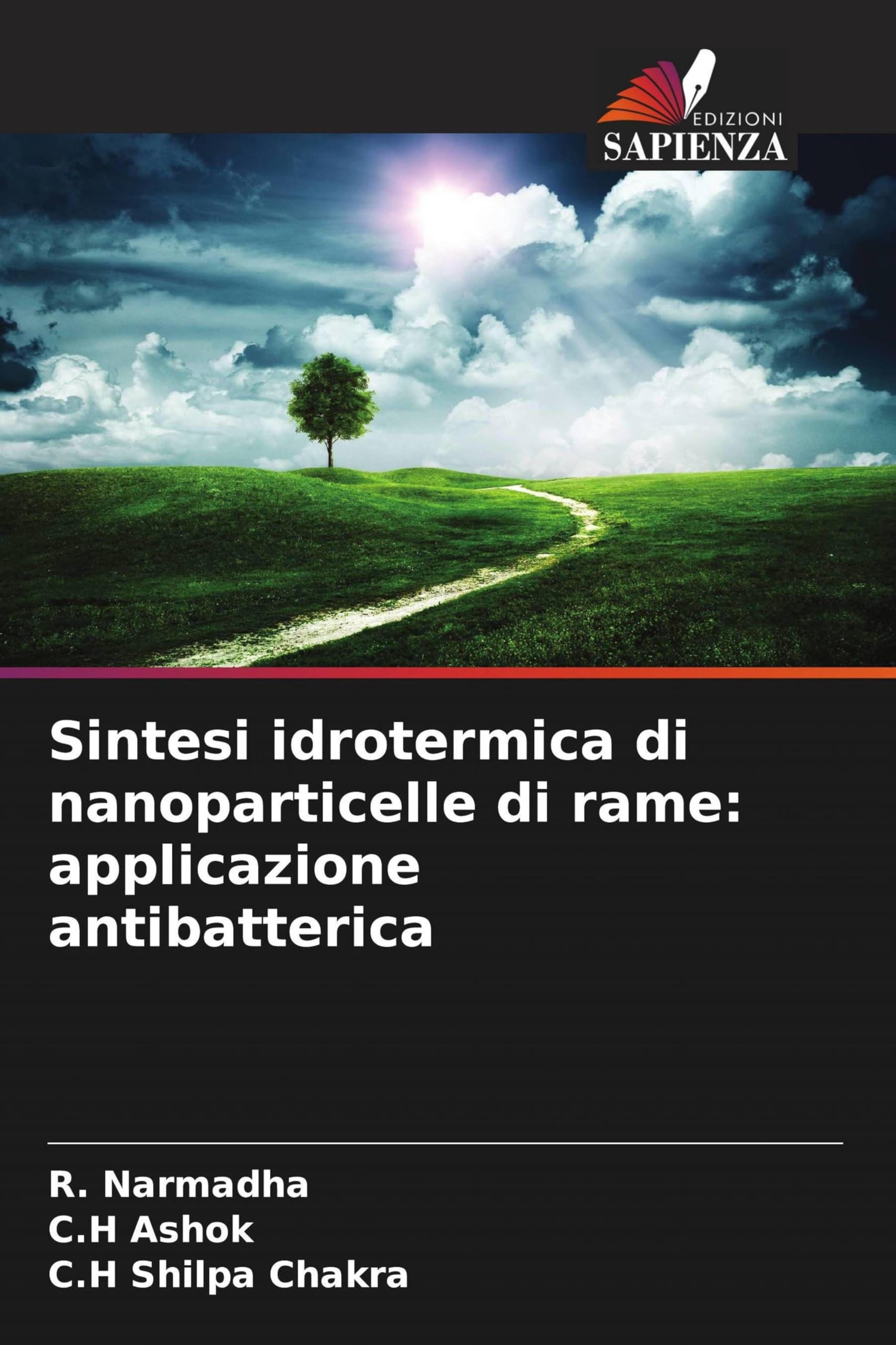 Sintesi idrotermica di nanoparticelle di rame: applicazione antibatterica