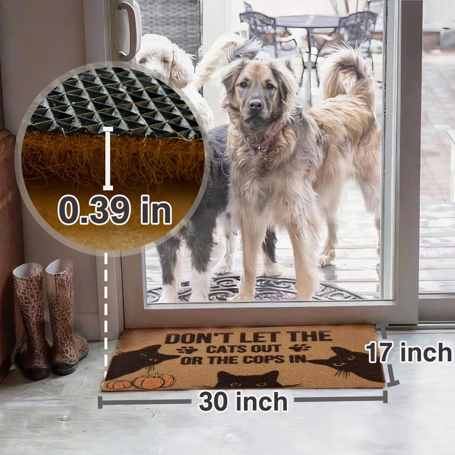 Funny Welcome Door Mat Hi Bye Cat, Outdoor Entrance Mat with Humorous Saying 30x18, Non Slip Rubber Back, Front Porch Decor, Gift for Home, Friends, Family