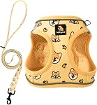 BELLA & PAL Puppy Harness with Leash Set, Dog Harness for Small Dogs No Pull, Dog Leash for Puupy, Step in Harness for Extra Small Dogs (Khaki, XS)