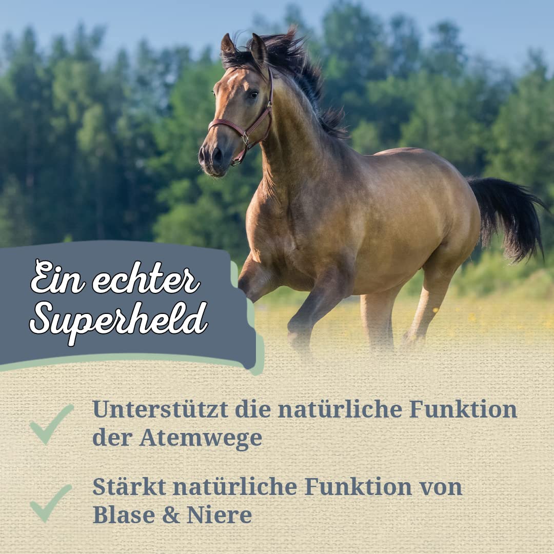 Krauterie Meerrettich für Pferde, geschnitten (1000 g)