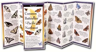Earth Sky & Water Butterflies of The Pacific Northwest