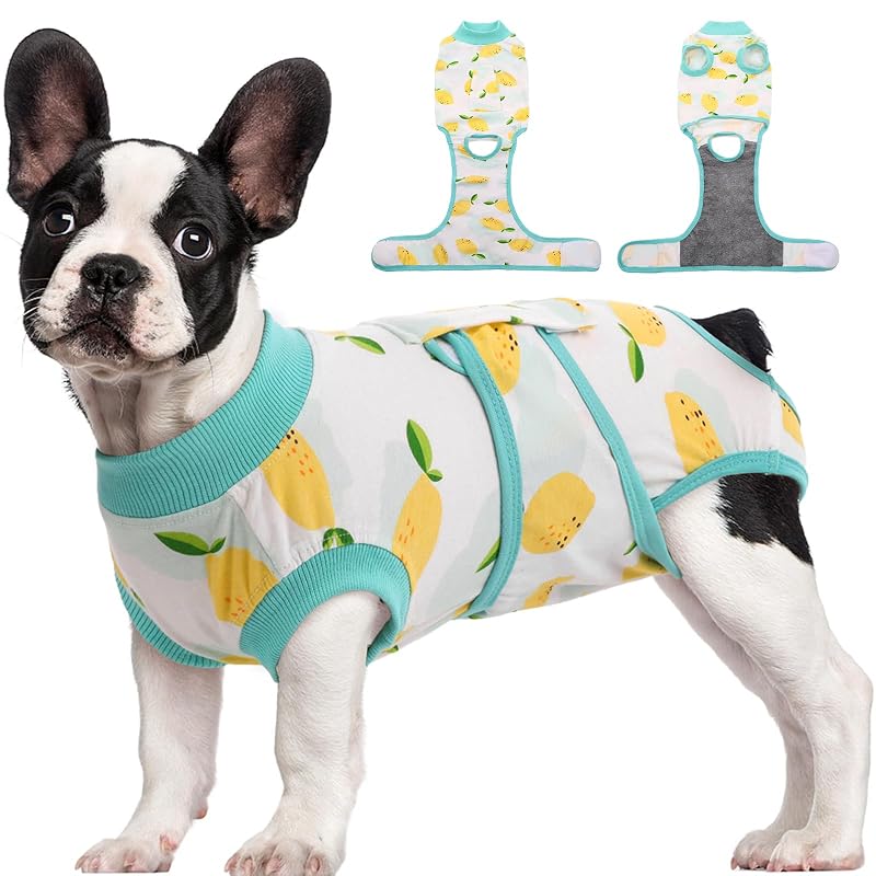 Roupa de recuperação pós-operatória para cães Kuoser em algodão e elastano, Lemon Zest, tamanho M