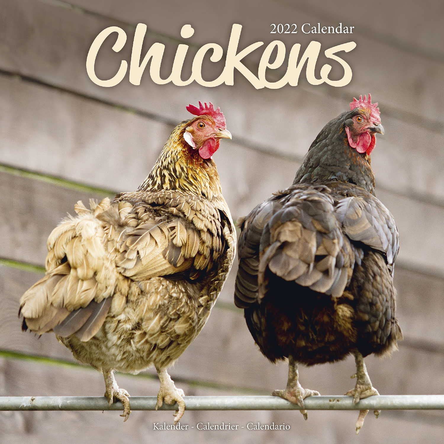 Chickens Calendar Calendars 2021 2022 Wall Calendars Animal 