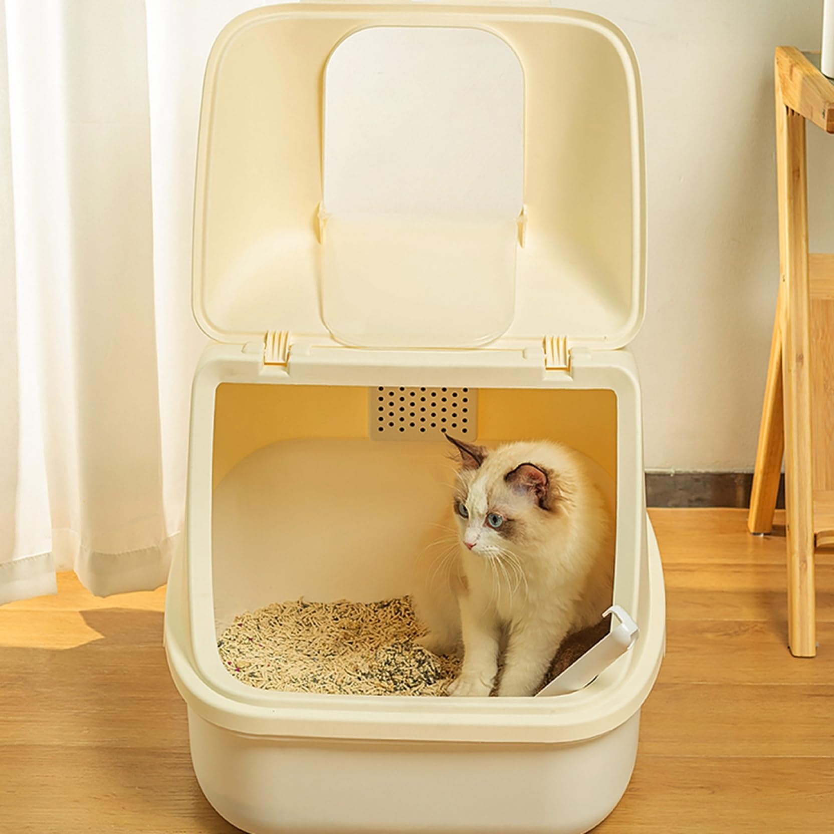 Amazon | 猫用トイレ本体 大型 フルカバー 猫トイレ 杏色 ふた付き