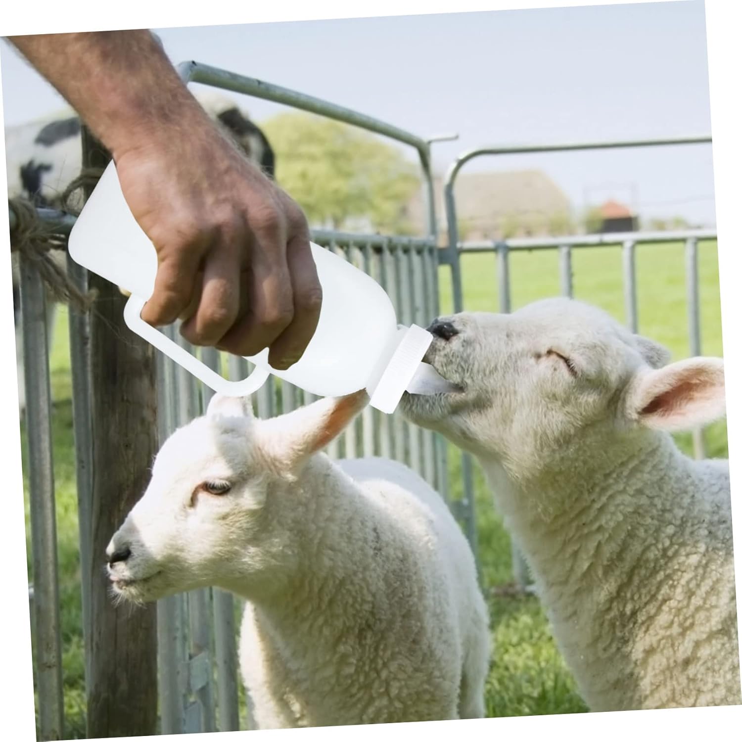 Angoily 4 Pcs Calf Nursing Bottle Pet Kitten Milk Puppy Kitten Cup Brown Bottles Bottle Storage Breast Puppies Kittens Cow Bottle Washer Bottles Animal