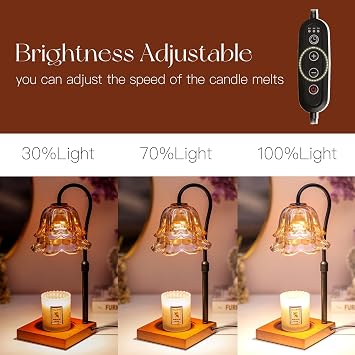 Candeldo Candle Warmer Lamp with Timer, Gold Floral Glass Shade